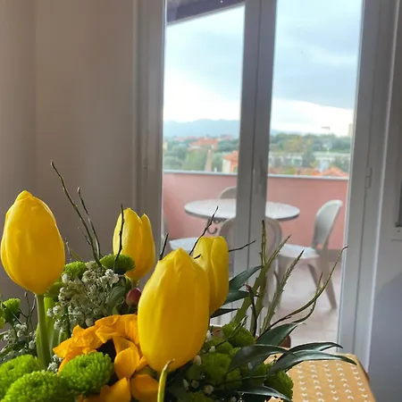 Paolina - App. 6 Posti Lejlighed *